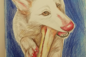 Работа 3772530