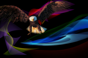 Eagle