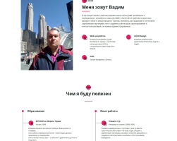 Портфолио