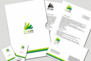 Конкурсная работа SKYLINE 2