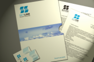 Конкурсная работа SKYLINE