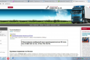 Профессиональные транспортные услуги и их составляющие