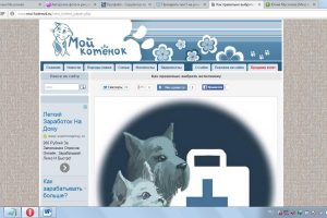 Как правильно выбрать ветклинику