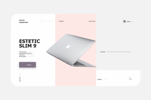 Страница под продажу конкретной модели ноутбука