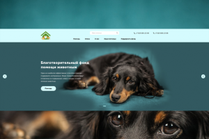 Сайт благотворительной помощи животным