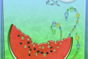 Работа 4117498