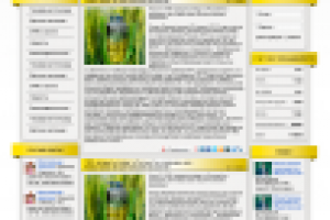 Шаблон для WP