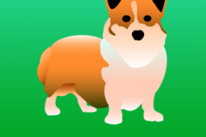 Обои на телефон "Корги"