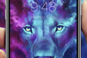 FLY - Wallpapers and Themes