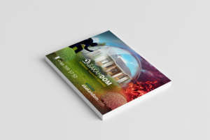 Листовка и логотип для "АбаканDом"