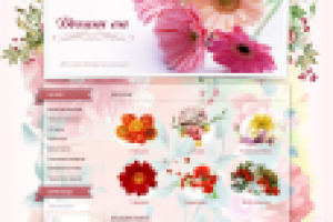 Дизайн сайта