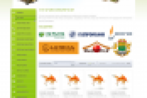 Дизайн сайта