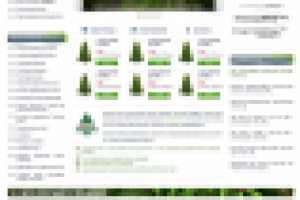 Работа 1574321