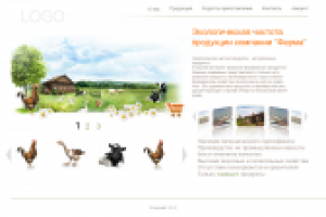 Работа 1306323