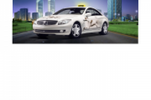 Работа 1306431