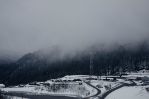 Работа 4114713