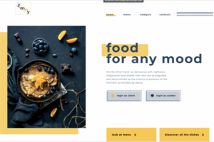 Ui/Ux