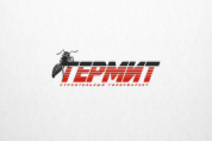 Логотип «Термит»