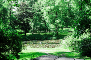 Рисуя сюжеты