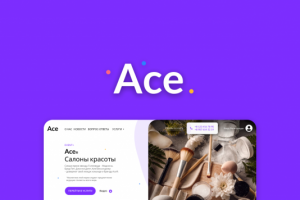 Landing Page - Ace