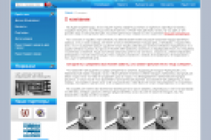 компания "Ай Пи Вижн Плюс"