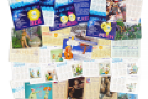 Карманные календари(ки), 2002-2009