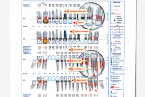Листовка «Florida Probe», 2011