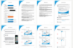 Guideline «Аэоника», 2011