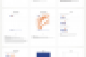 Guideline «Индиго», 2006