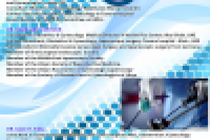 Работа 2974018