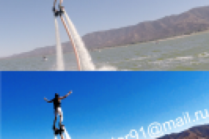 Работа 3006286