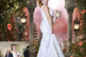 Работа 2990372