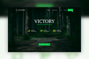 Victory - Реабилитационный центр