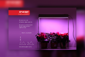 Фитосветильники