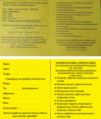img4018699.png