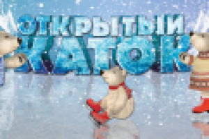 Работа 2237329