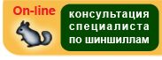 img966.png