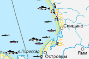 Тематическая карта (фрагмент)