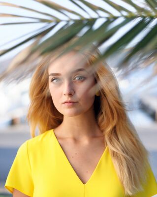 img4096659.png