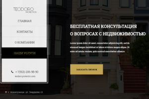 Landing Page  "TEODORO protection"