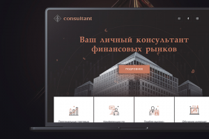 Landign Page Финансовый консалтинг европейского уровня