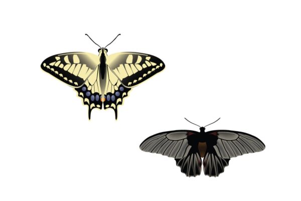 img4110872.png