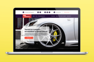 Лендинг для сети 700shin.ru