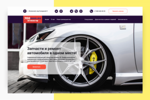 Лендинг для сети 700shin.ru