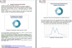 Анализ российского рынка купальников, 2012