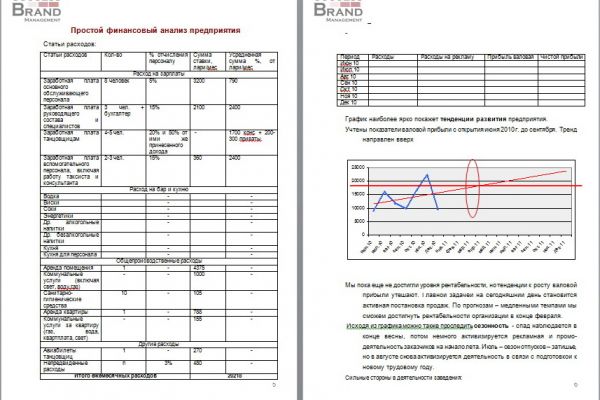Рынок ночных развлекательных заведений г.Тбилиси, Грузия, 2010