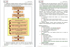 Рынок электронных платежных систем России, 2010