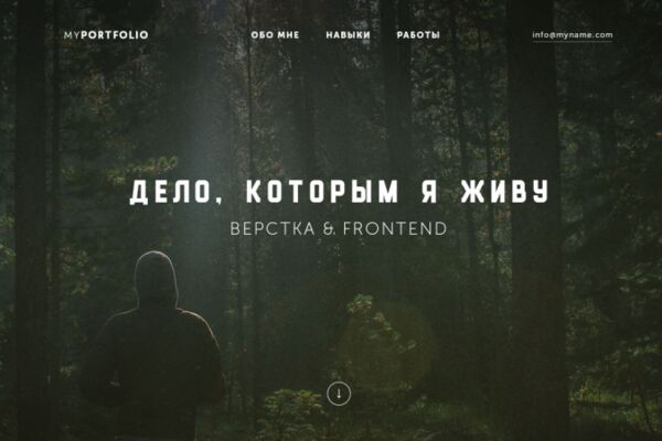 img3906306.png