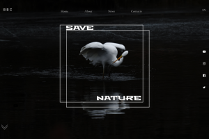 First screen of the site (concept) Save Nature