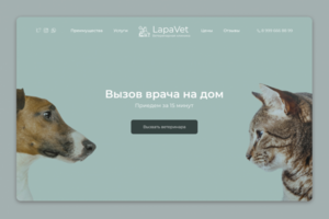 Проект для ветеринарной клиники